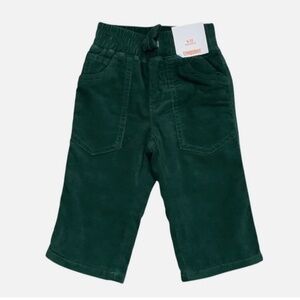 Gymboree All Spruced Up Pants Boys Sz 6-12 Months Green Lined Corduroy NWT